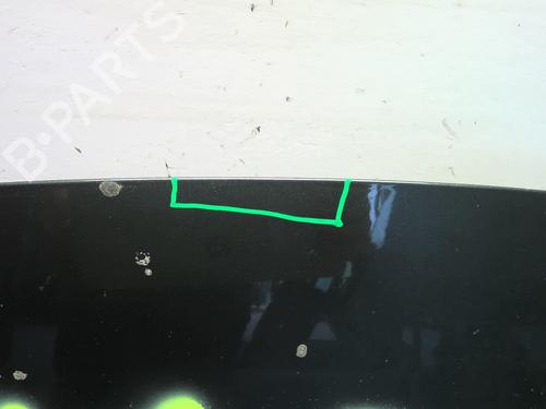 Hood CITROËN C3 II (SC_) 1.4 HDi 70 (SC8HZC, SC8HR0, SC8HP4) | BP22306443C1 