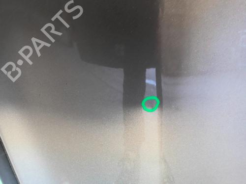 Left rear door RENAULT CLIO III (BR0/1, CR0/1) 1.5 dCi (BR17, CR17) | BP24590376C4 