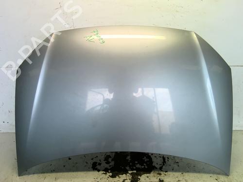 Used Hood VW POLO IV (9N_, 9A_) 1.4 TDI (70 hp) 27720152