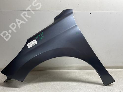Used Left front fenders PEUGEOT 207 (WA_, WC_) 1.6 HDi (90 hp) 29174117