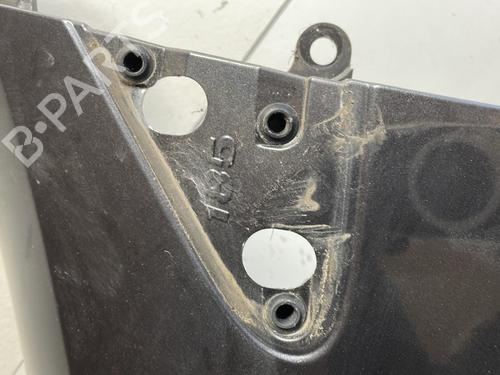 Left front fenders RENAULT CLIO III (BR0/1, CR0/1) 1.2 16V Hi-Flex (BR1U, CR1U) | BP25407849C41 