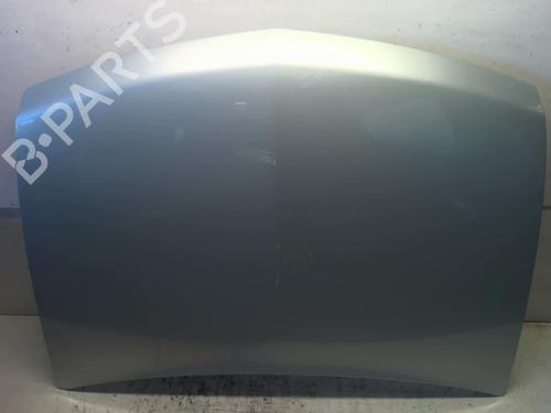 Hood RENAULT VEL SATIS (BJ0_) 2.2 dCi (BJ0E, BJ0F) | BP18226641C1 