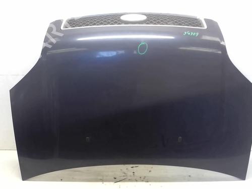 Hood FORD FUSION (JU_) 1.4 TDCi | BP18218387C1 