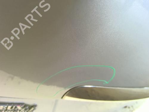 Tailgate RENAULT SCÉNIC III (JZ0/1_) 1.2 TCe (JZ16) | BP26934005C6