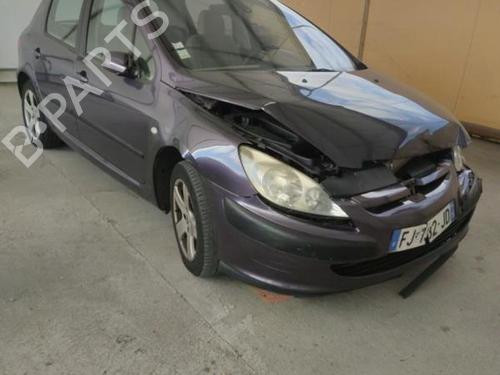 Left rear door PEUGEOT 307 (3A/C) 2.0 16V | BP18231707C4 