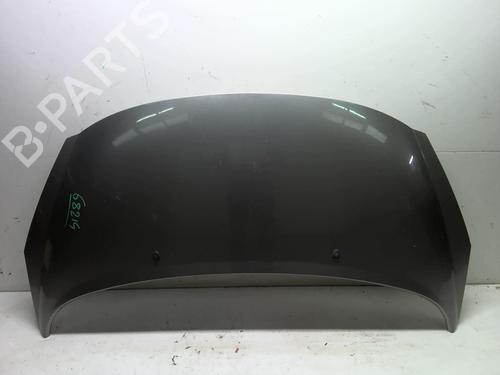 Used Hood PEUGEOT 207 CC (WD_) 1.6 HDi (109 hp) 18230006