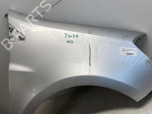 Right front fenders RENAULT CLIO III (BR0/1, CR0/1) 1.5 dCi (C/BR0G, C/BR1G) | BP27279529C42 