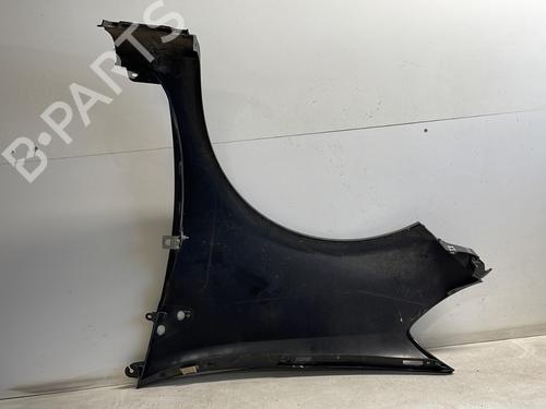 Right front fenders RENAULT CLIO III (BR0/1, CR0/1) 1.5 dCi (BR17, CR17) | BP26894395C42 