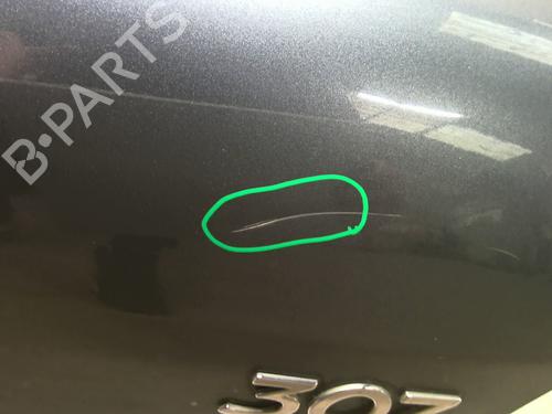 Tailgate PEUGEOT 307 (3A/C) 1.6 HDi | BP26496672C6 