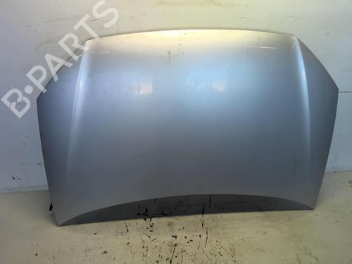 Used Hood VW POLO IV (9N_, 9A_) 1.4 TDI (70 hp) 18225962