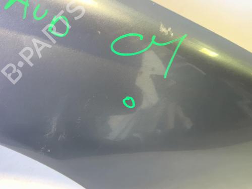 Right front fenders PEUGEOT 406 (8B) 2.0 HDI 110 | BP18227307C42 