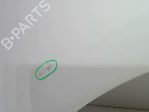 Left front fenders CITROËN C4 Picasso I MPV (UD_) 1.6 HDi | BP18223928C41 