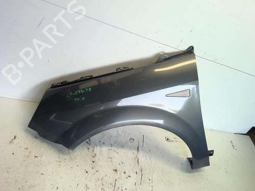 Left front fenders RENAULT GRAND SCÉNIC II (JM0/1_) 1.9 dCi (JM14) | BP18226475C41 