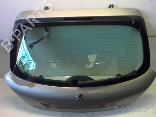Tailgate PEUGEOT 207 (WA_, WC_) 1.6 HDi | BP18226716C6 