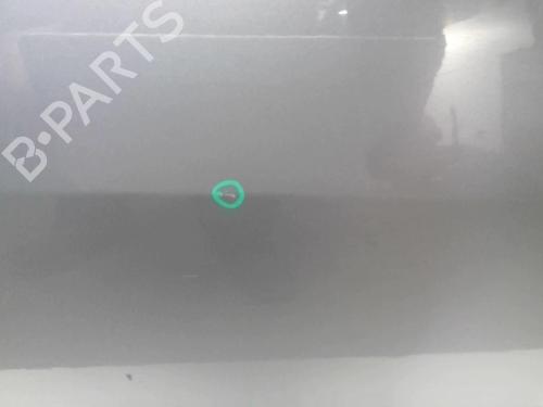 Right front door RENAULT MEGANE II Estate (KM0/1_) 1.5 dCi (KM16, KM1E) | BP18220995C3 