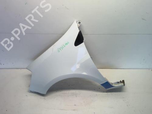 Left front fenders RENAULT CLIO III (BR0/1, CR0/1) 1.5 dCi | BP18230119C41 