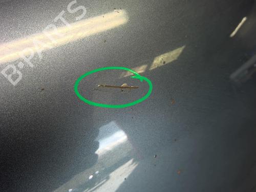 Used Hood PEUGEOT 807 (EB_) 2.2 HDi (128 hp) 18212224