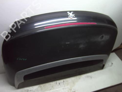 Tailgate PEUGEOT 207 CC (WD_) 1.6 HDi | BP22556571C6 