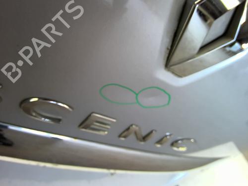 Tailgate RENAULT SCÉNIC III (JZ0/1_) 1.2 TCe (JZ16) | BP26934005C6
