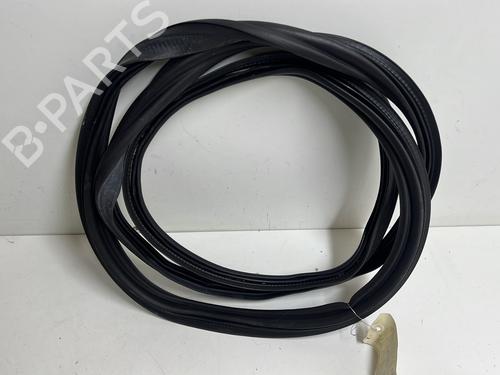 Rubber door seal VW POLO VI (AW1, BZ1, AE1) 1.0 TSI | BP20341198C142 
