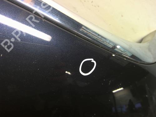 Hood MINI MINI (R56) Cooper | BP29525241C1 