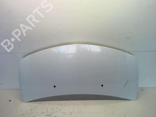 Used Hood RENAULT CLIO III (BR0/1, CR0/1) 1.5 dCi (C/BR0G, C/BR1G) (68 hp) 18219466