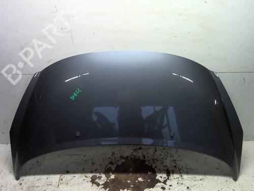 Used Hood PEUGEOT 207 (WA_, WC_) 1.6 HDi (90 hp) 29937894