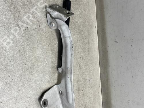 Hinge/Door check strap RENAULT KANGOO Express (FW0/1_) 1.5 dCi 90 (FW0G, FW05, FW08, FW11) | BP29896886C146