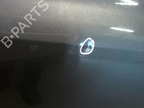 Left front door RENAULT CLIO III (BR0/1, CR0/1) 1.5 dCi (BR17, CR17) | BP29627539C2 