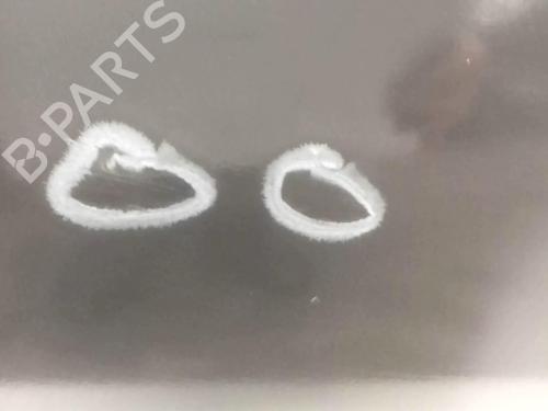 Left front door BMW 5 (E60) 530 d | BP18224692C2 