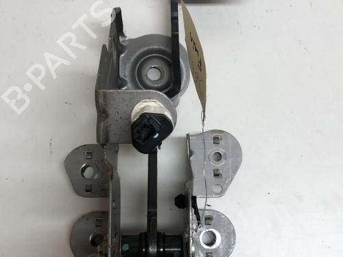 Break pedal RENAULT SCÉNIC III (JZ0/1_) 1.5 dCi | BP18220023I19 