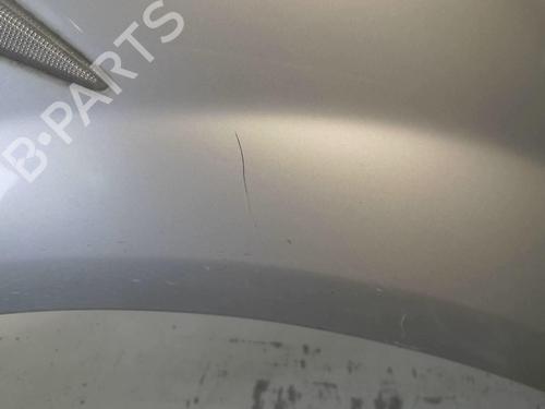 Forkjerm høyre RENAULT MEGANE II (BM0/1_, CM0/1_) 1.5 dCi (BM1E, CM1E) | BP18217868C42 