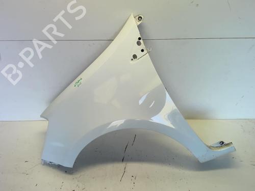 Left front fenders RENAULT CLIO III (BR0/1, CR0/1) 1.5 dCi | BP18226612C41 