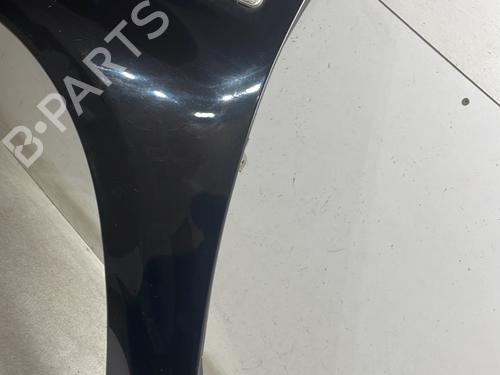 Left front fenders DACIA SANDERO 1.4 (BS0C, BS0A, BS0G, BS1F, BS0E) | BP29604589C41 