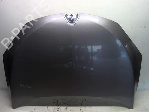 Hood RENAULT MEGANE III Hatchback (BZ0/1_, B3_) 1.9 dCi (BZ0N, BZ0J) | BP18222511C1 