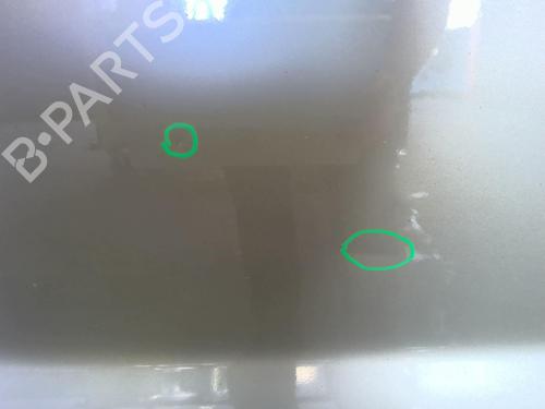 Left front door RENAULT TRAFIC II Van (FL) 2.0 dCi 115 (FL01, FL0U, FL00, FL0H, FL0M) | BP18230201C2 