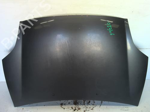 Hood FIAT BRAVO II (198_) 1.9 D Multijet (198AXB1A) | BP24314267C1 
