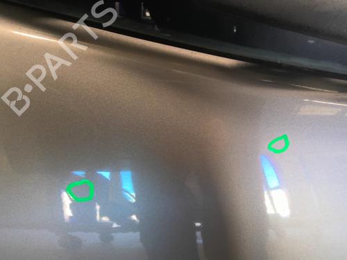 Tailgate RENAULT CLIO III (BR0/1, CR0/1) 1.5 dCi (BR17, CR17) | BP24590392C6 