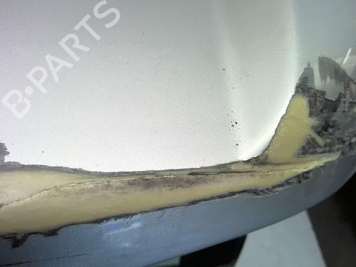Tailgate LAND ROVER DISCOVERY III (L319) 2.7 TD 4x4 | BP24505368C6 