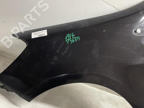 Left front fenders RENAULT CLIO III (BR0/1, CR0/1) 1.5 dCi (BR17, CR17) | BP29744582C41 