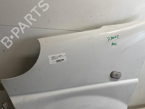 Left front fenders RENAULT TRAFIC II Bus (JL) 2.0 dCi 90 (JL00, JL01, JL0H, JL0M, JL0P, JL0S) | BP29544025C41 