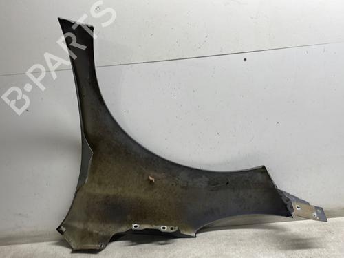 Right front fenders PEUGEOT 207 (WA_, WC_) 1.6 HDi | BP29896956C42