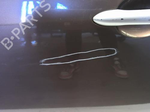 Left front door RENAULT SCÉNIC III (JZ0/1_) 1.9 dCi (JZ0J, JZ1J, JZ1K, JZ1S) | BP21899562C2 