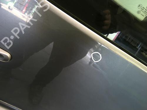 Left slide door VW CADDY III MPV (2KB, 2KJ, 2CB, 2CJ) 1.6 TDI | BP20291679C74 