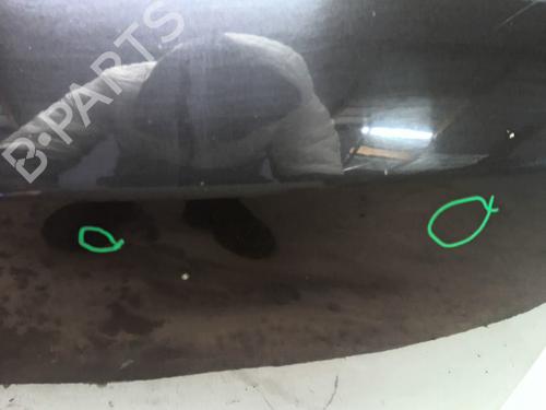 Tailgate RENAULT CLIO III (BR0/1, CR0/1) 1.2 16V | BP23846895C6 