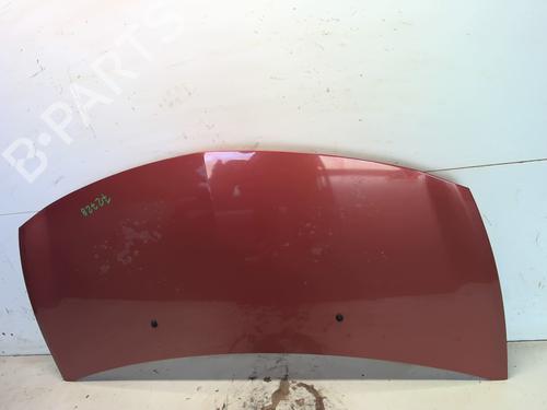 Hood RENAULT CLIO III (BR0/1, CR0/1) 1.5 dCi (BR17, CR17) | BP25895190C1 