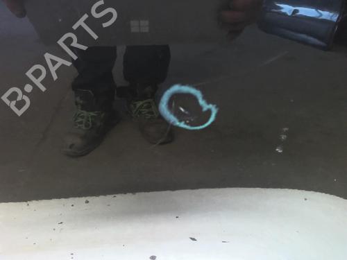 Used Left rear door BMW X3 (E83) 3.0 d (204 hp) 18230662