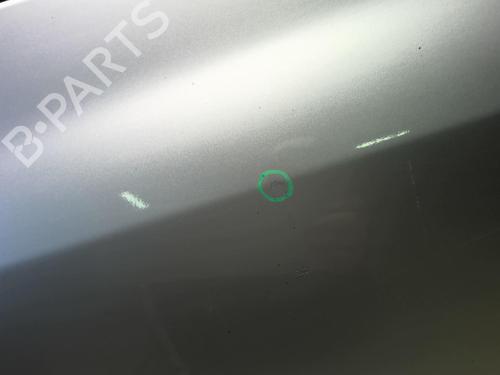 Left front door RENAULT CLIO III (BR0/1, CR0/1) 1.5 dCi | BP18210334C2 