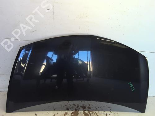 Hood RENAULT CLIO III (BR0/1, CR0/1) 1.5 dCi | BP26574049C1 