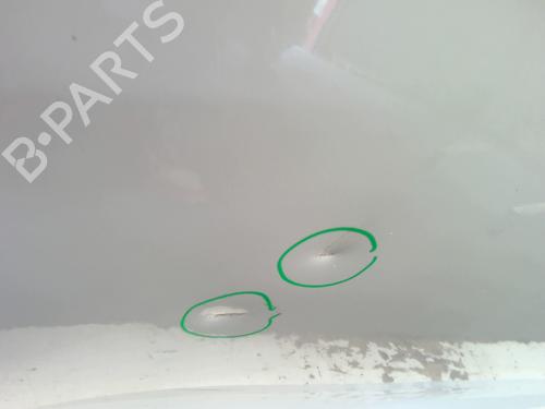 Left front door FORD KA (RU8) 1.2 | BP25867374C2 